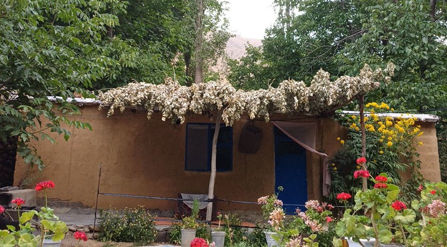 بوم گردی گلاویژ