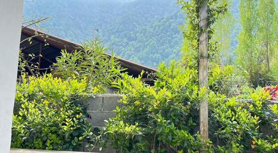 ویلا دوخوابه جنگلی ماه جنگل ۱