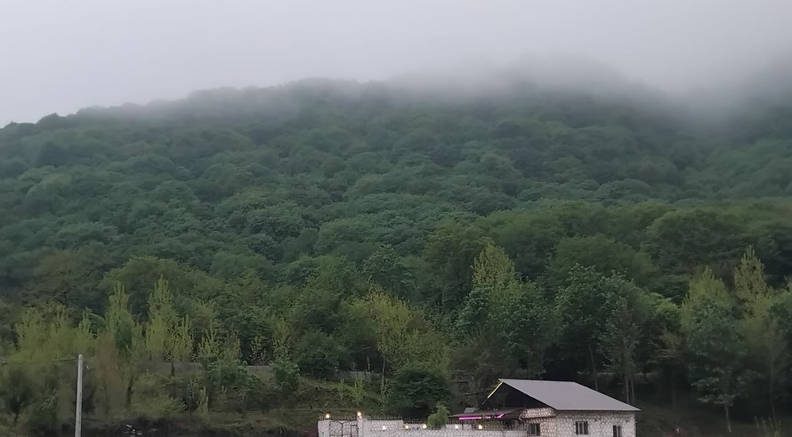 اجاره ویلا سه خوابه جنگلی شمشاد 3 سوادکوه
