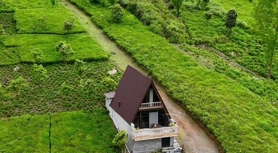 کلبه یک خوابه سوئیسی چای