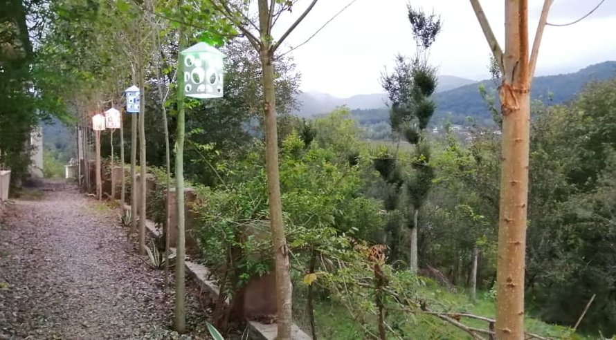 سوئیت یک تخته فلت اتاق گیو ١ حلیمه جان