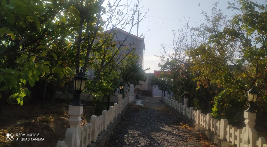 یک خوابه جنگلی پالیز.