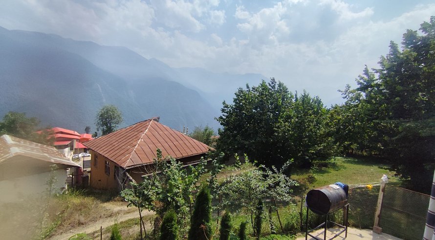 سوئیت یک خوابه جنگلی امیران