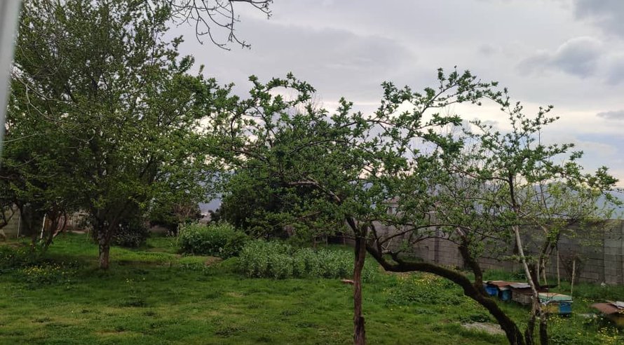 اجاره سوئیت یک خوابه روستایی گیل پره سر