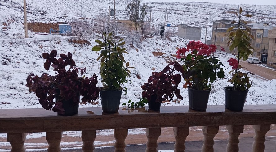 آپارتمان دوخوابه گلبرگ ۳