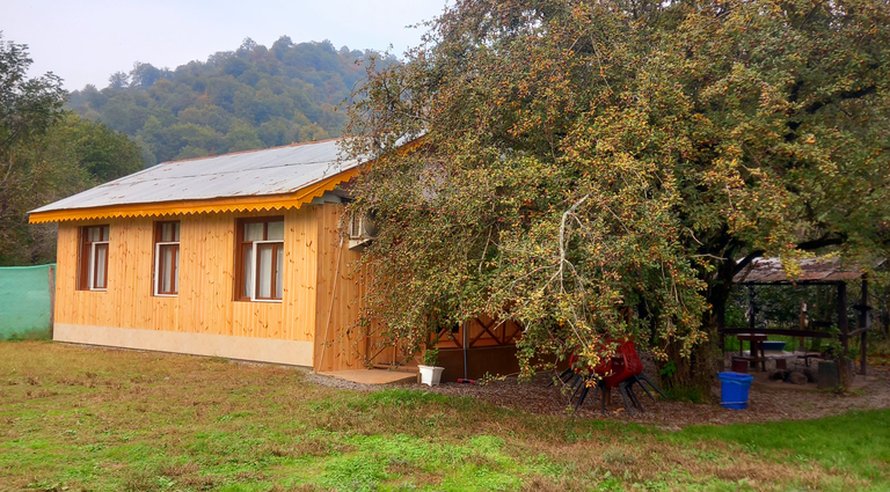 کلبه یک خوابه جنگلی عادل