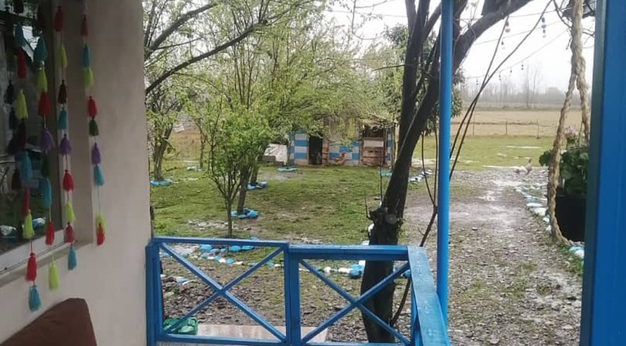 سوئیت یک تخته فلت همراز