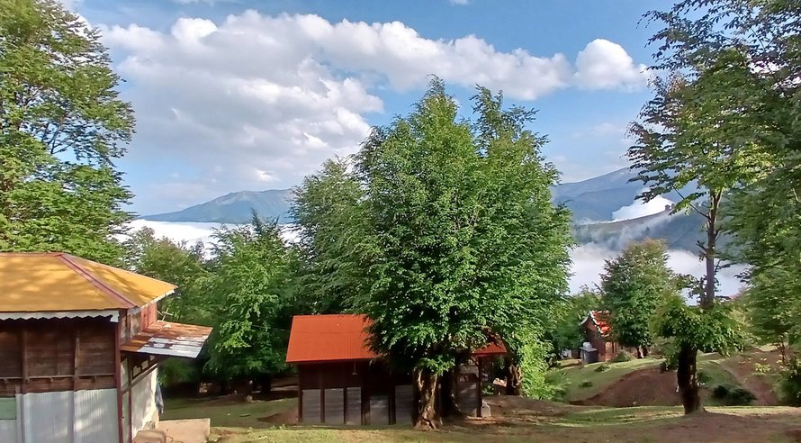 کلبه فلت پامچال