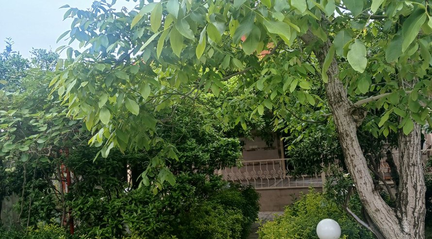 اجاره ویلا دوخوابه ساحلی بوستان 24 بندر انزلی