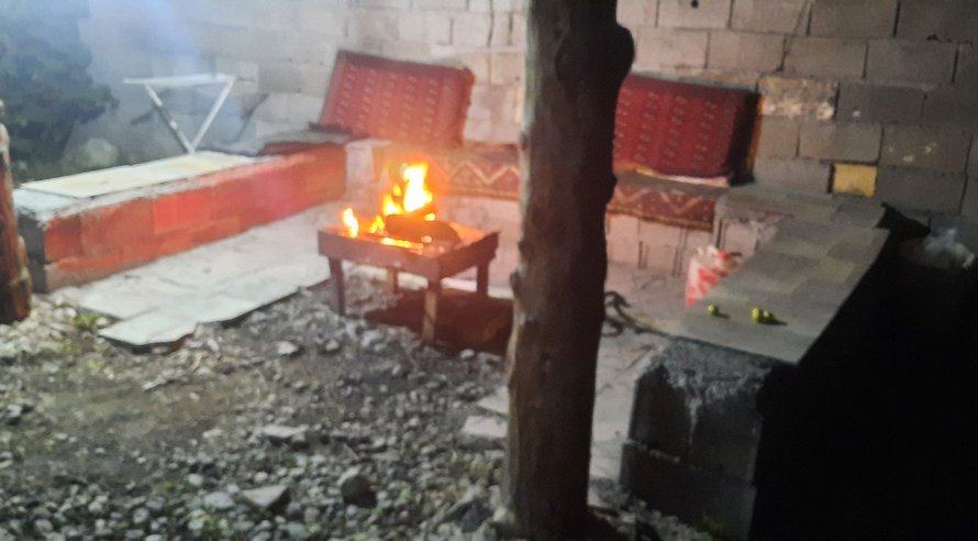 جنگلی قائم ۲۱