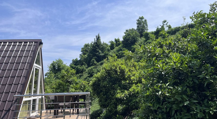 یک خوابه سوئیسی بهارنارنج