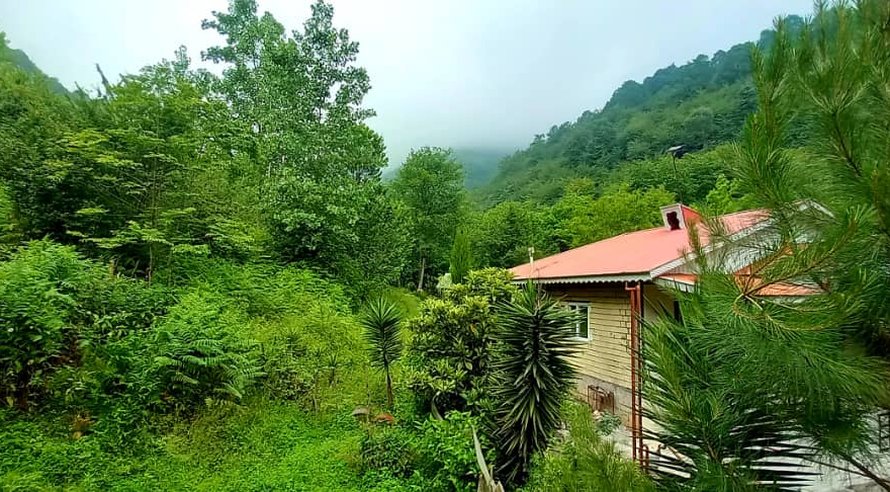 ویلا دوخوابه جنگلی عارف