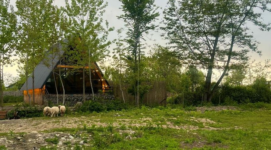 کلبه دوخوابه سوئیسی برکه 9