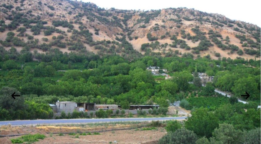 ویلا یک خوابه خانه باغ محمدحسینیان
