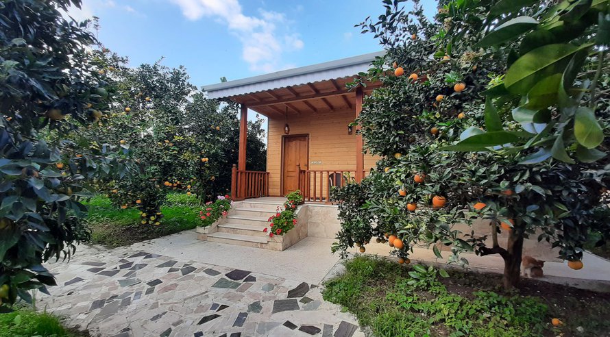 اجاره ویلا یک خوابه چوبی باغ پرتقال تنکابن