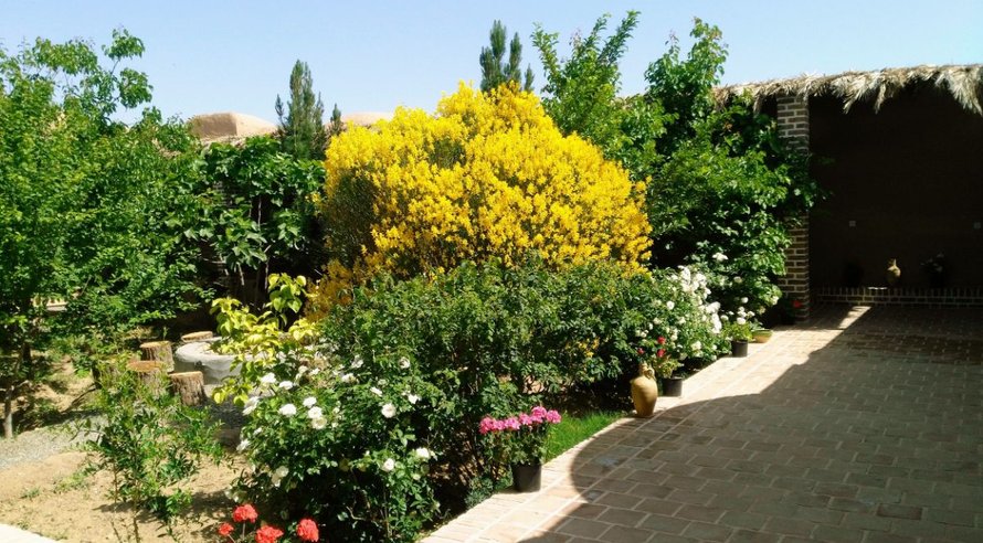 اجاره بوم گردی بابا حبیب - اتاق 24 متری  (هرنفر) نطنز
