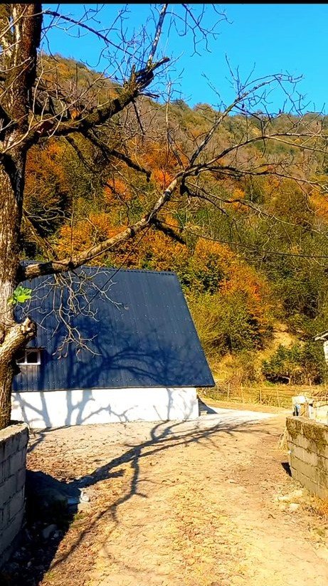 کلبه فلت دوبلکس جنگلی لیام