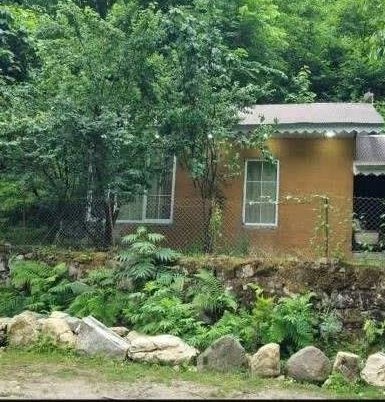 سوئیت فلت نوری