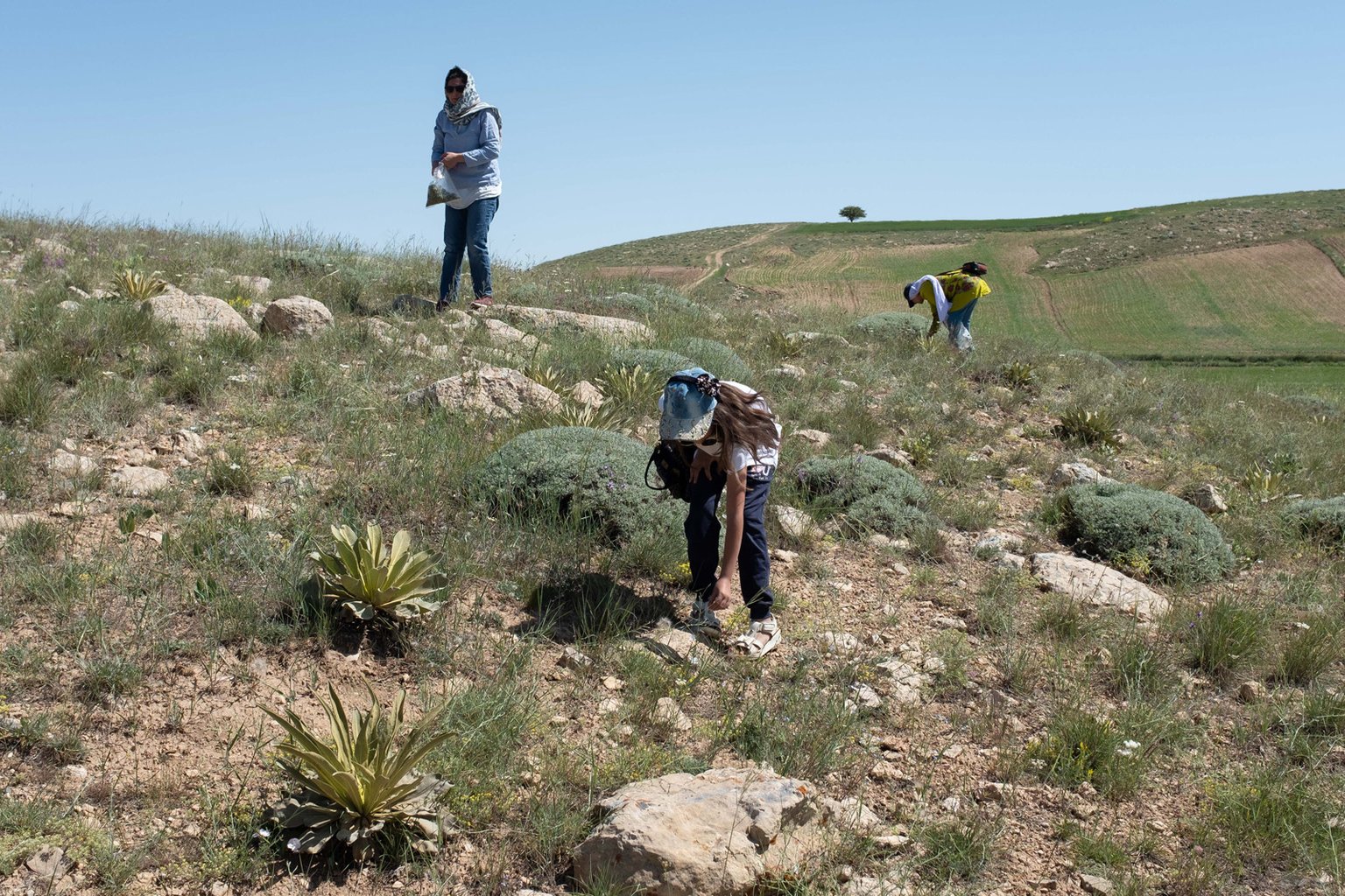 رزرو آنلاین ۳ روز تجربه زندگی روستایی با ماه صنم در خراسان شمالی