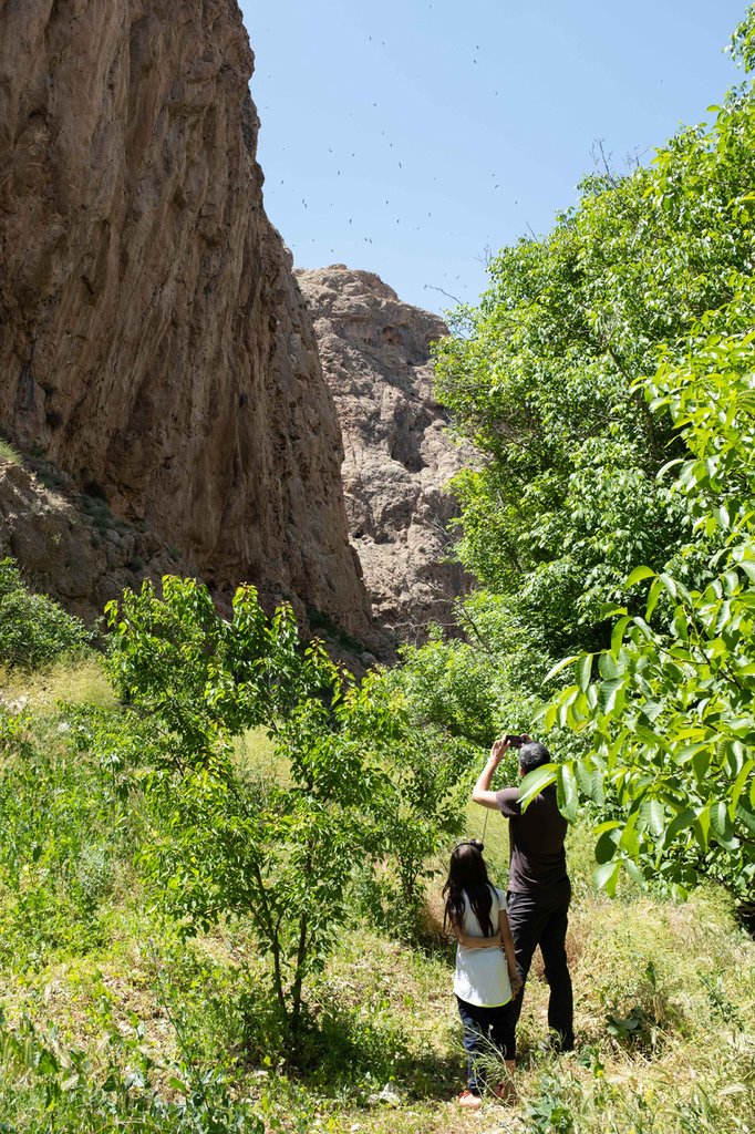رزرو آنلاین ۳ روز تجربه زندگی روستایی با ماه صنم در خراسان شمالی
