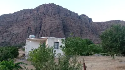 سوئیت یک خوابه خانه باغ بابایی