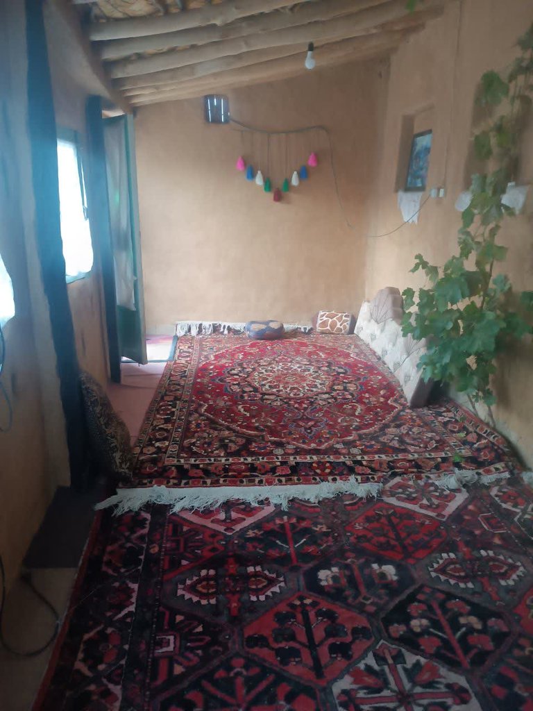 بوم گردی گیناش - واحد دلنشین