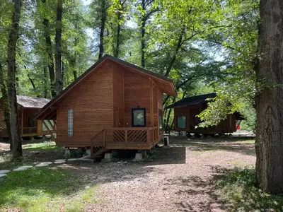 بومگردی هتل  جنگلی میزبان - واحد دونفره