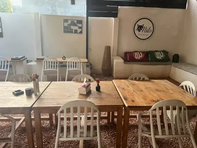 بومگردی میلو - واحد میلو