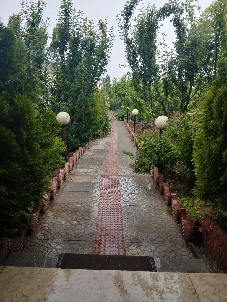 ویلا یک خوابه محمدحسنی