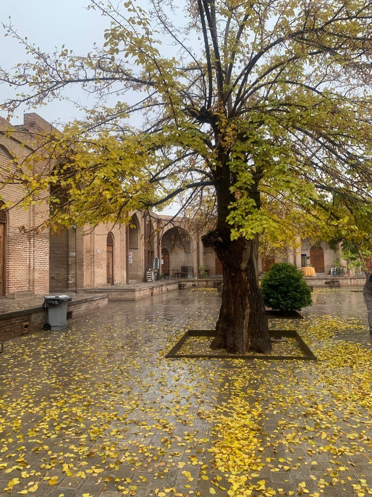 اقامتگاه سنتی قهرمانی - واحد 104