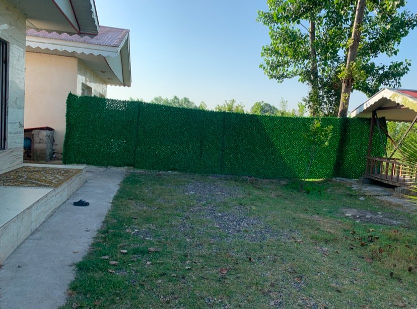 ویلا دوخوابه جنگلی محمد 02