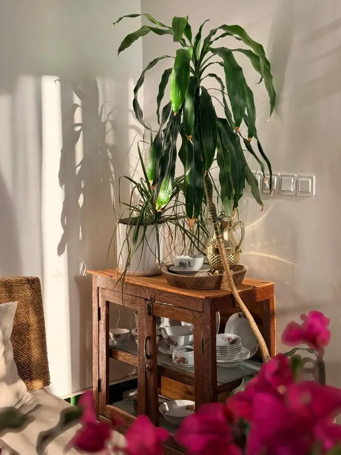 ویلا سه خوابه تياوي