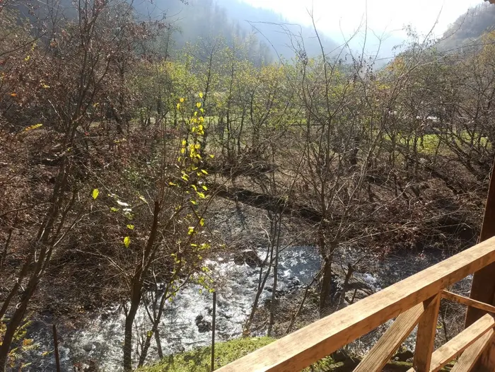 کلبه سه خوابه شفیع