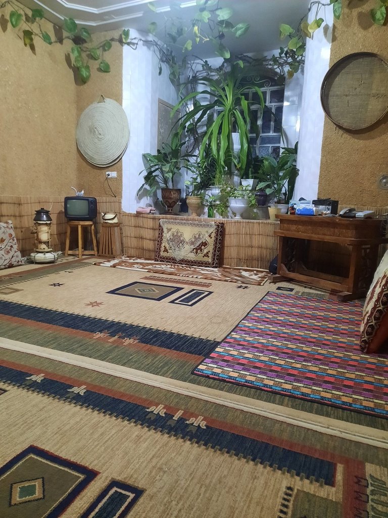 بوم گردی گردو - واحد سولین