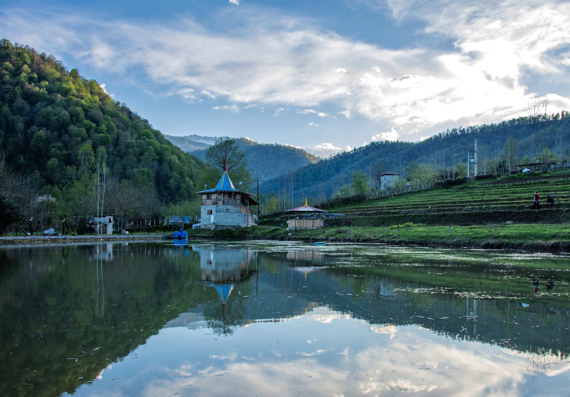 کلبه فلت جنگلی انجیلیکا