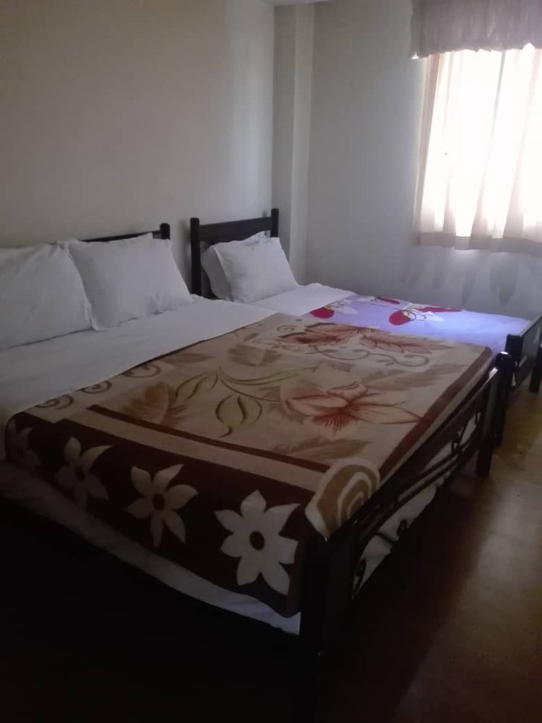 دوخوابه ساحلی نیلوفر 8