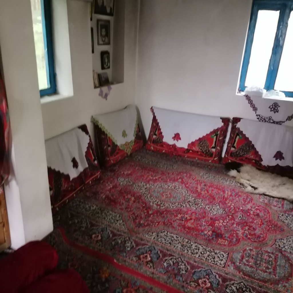 ویلا فلت دلیری