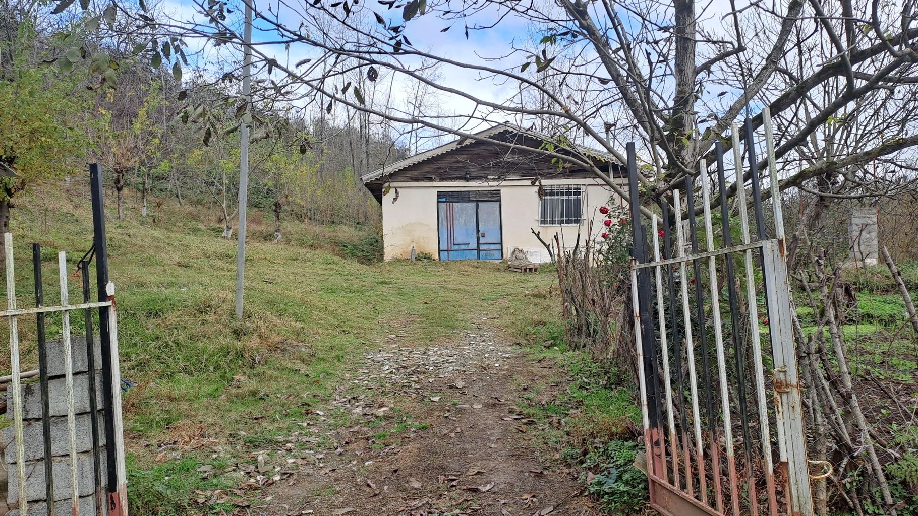 ویلا دوخوابه جنگلی سرلیله