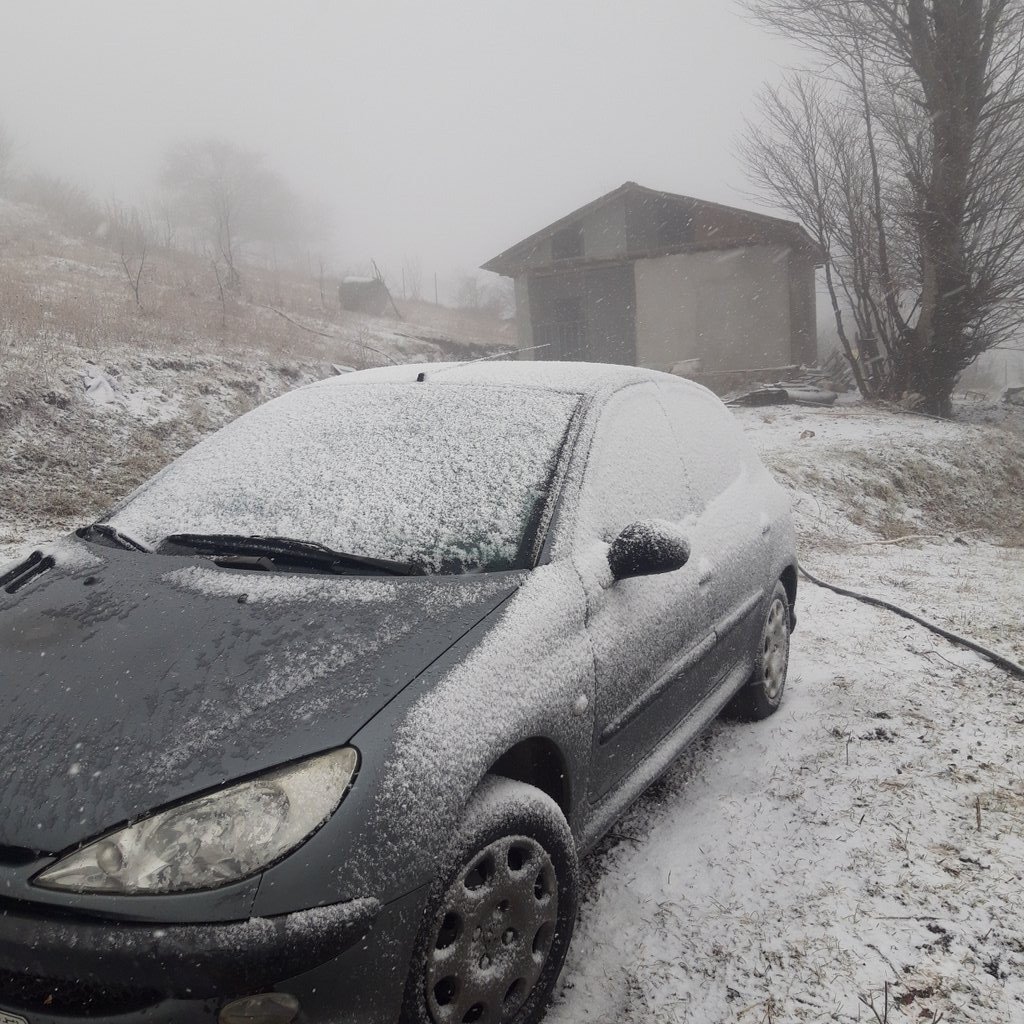 کلبه یک خوابه جنگلی بره سر