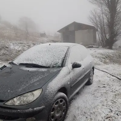 کلبه یک خوابه جنگلی بره سر