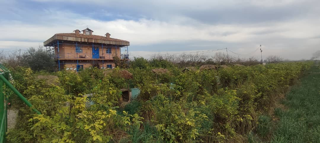 ویلا یک خوابه بهشت مامطیر 1