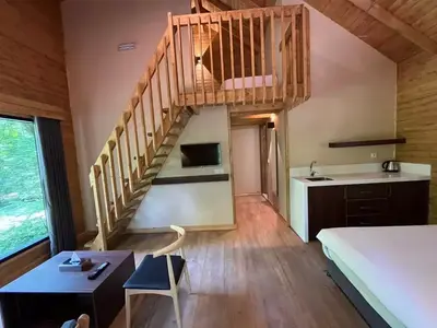 بومگردی هتل جنگلی میزبان - واحد دوبلکس چهار نفره