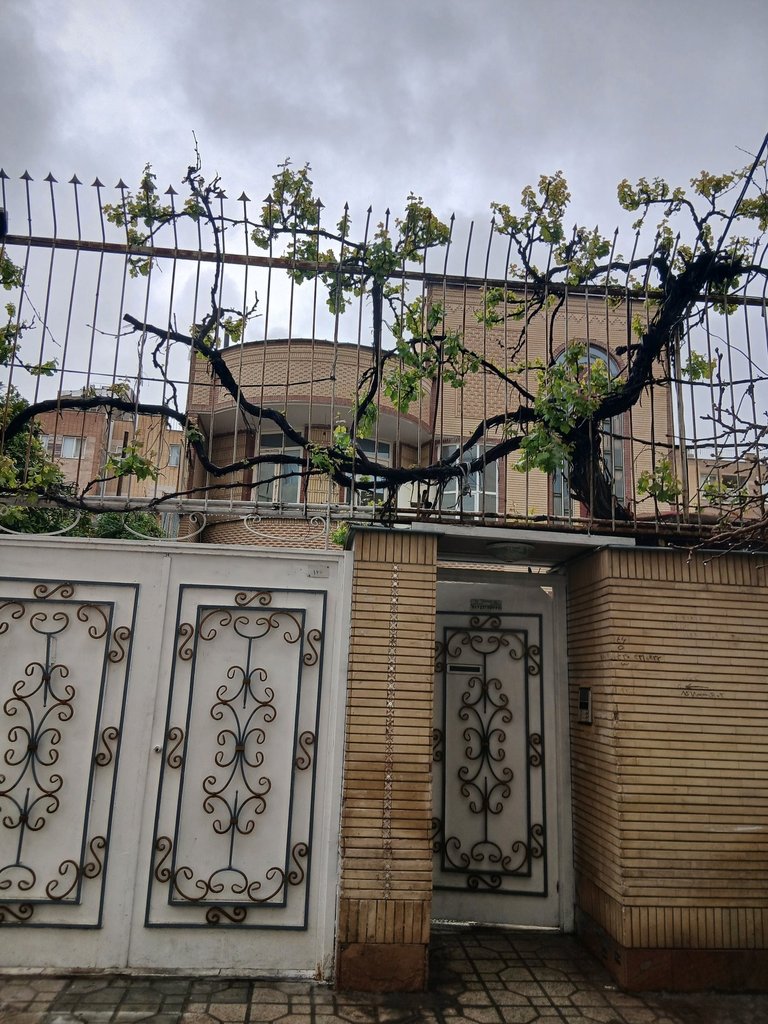 آپارتمان دوخوابه خوش رو