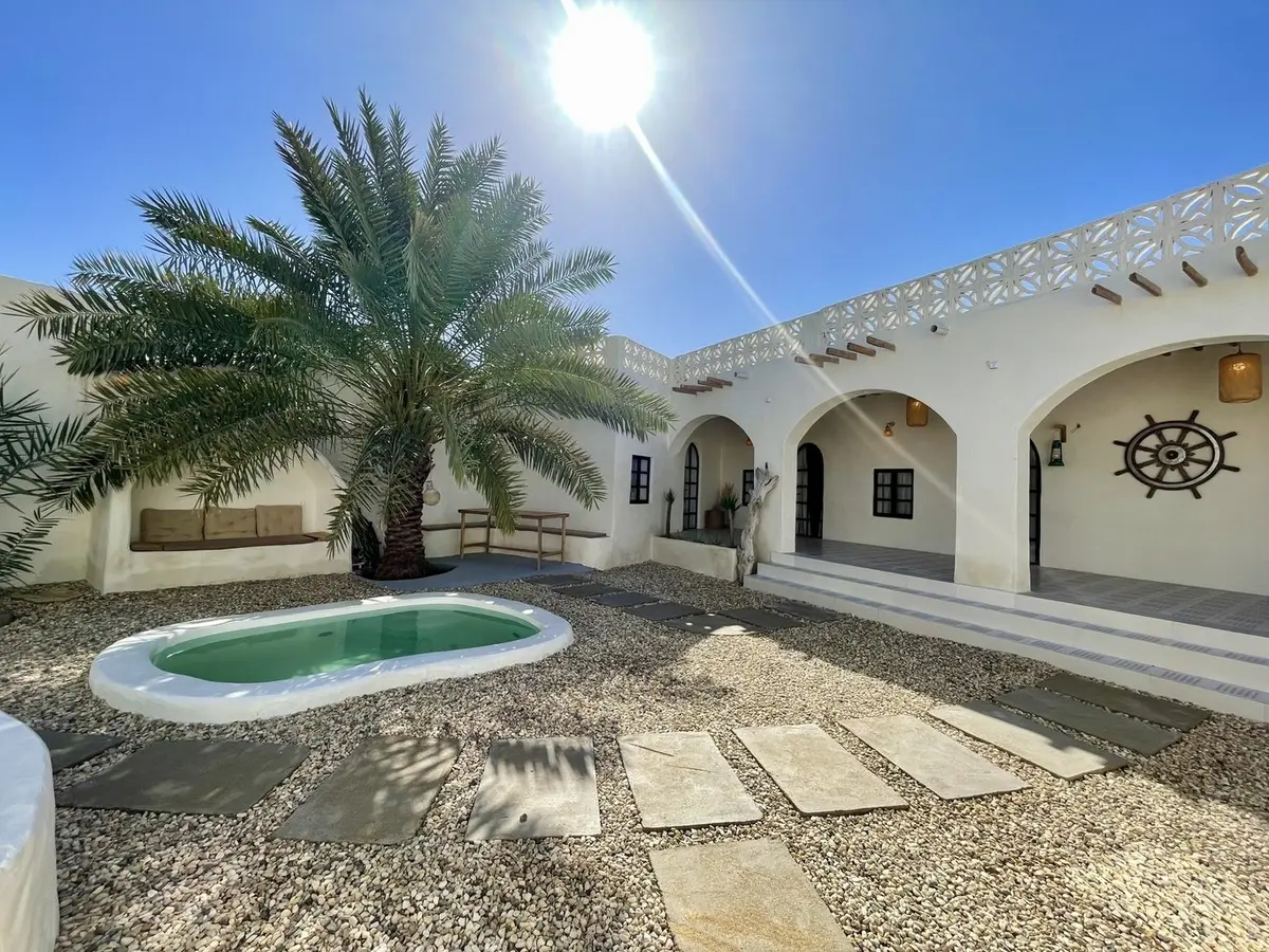 بوم گردی گوشه اتاق کوکو