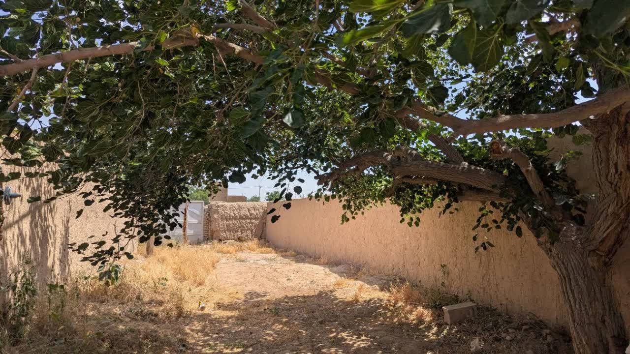 بوم گردی سنتی فردوسی - اتاق آبی