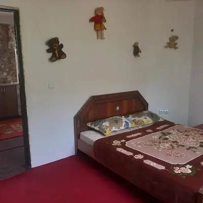 ویلا یک خوابه جنگلی شالی