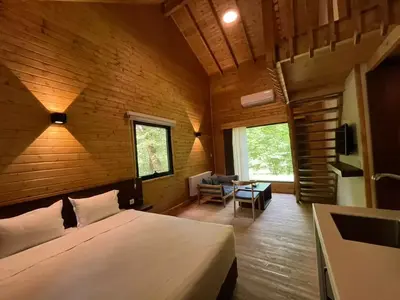 بومگردی هتل جنگلی میزبان - واحد دوبلکس چهار نفره