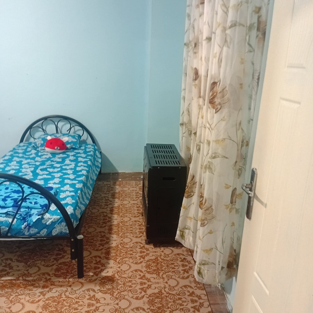 یک خوابه بید مجنون