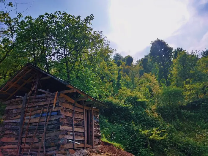 ویلا دوخوابه جنگلی آلیان