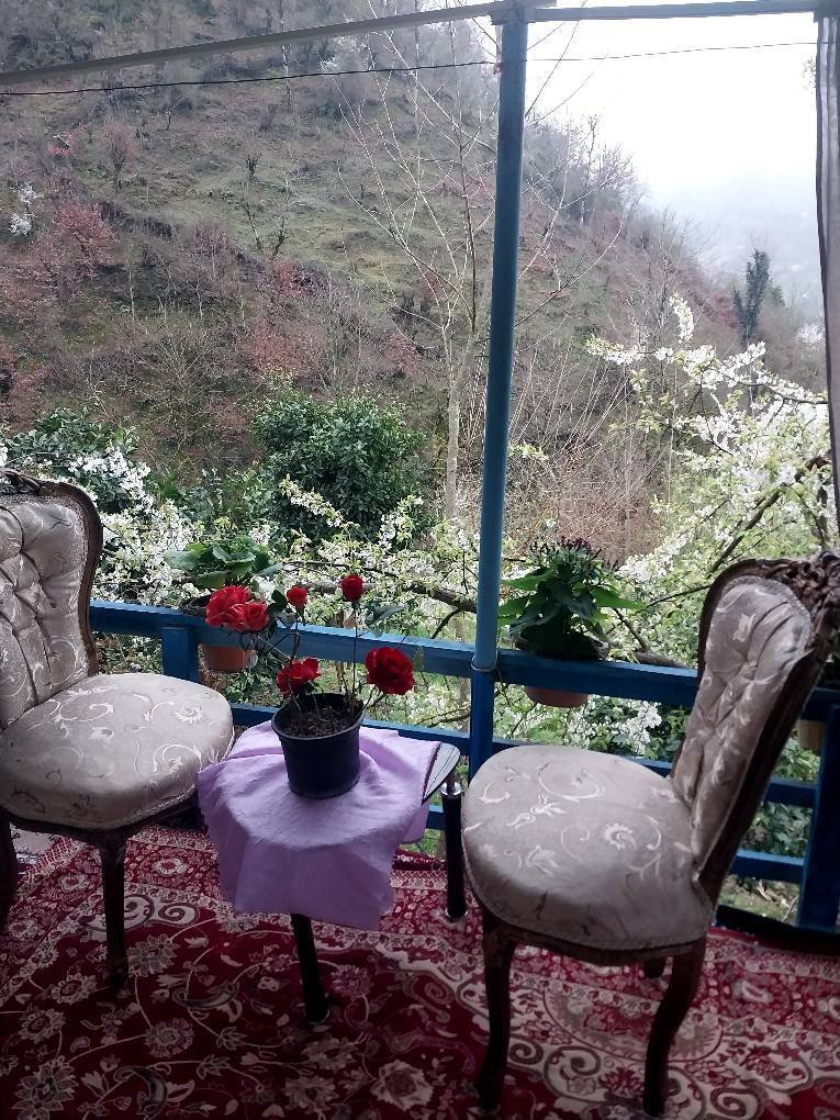 ویلا دوخوابه جنگلی سنتی چنار 2